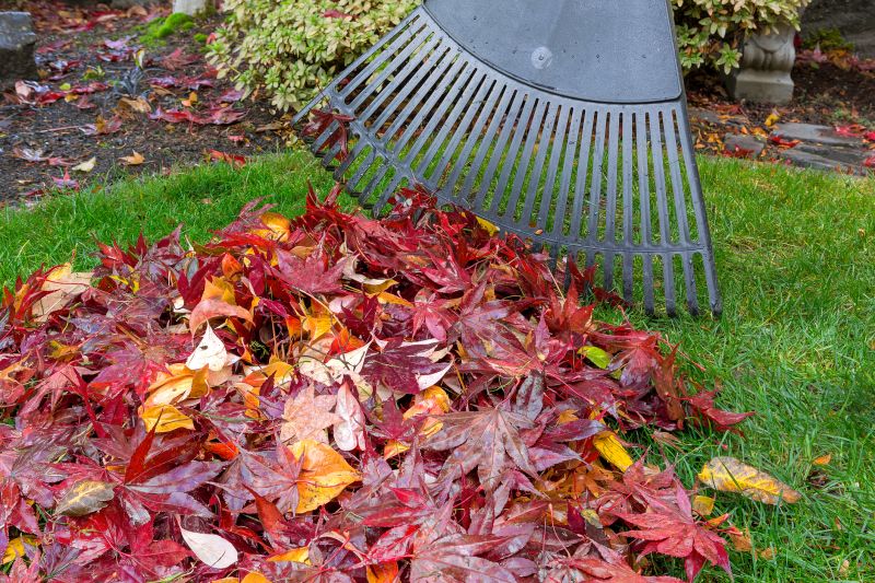 Fall Yard Maintenance Tools