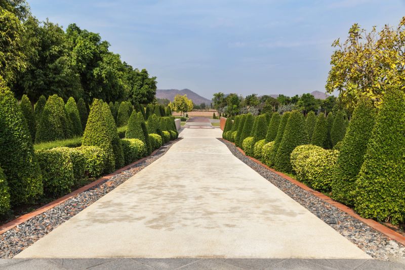 Garden Path with Shrubs